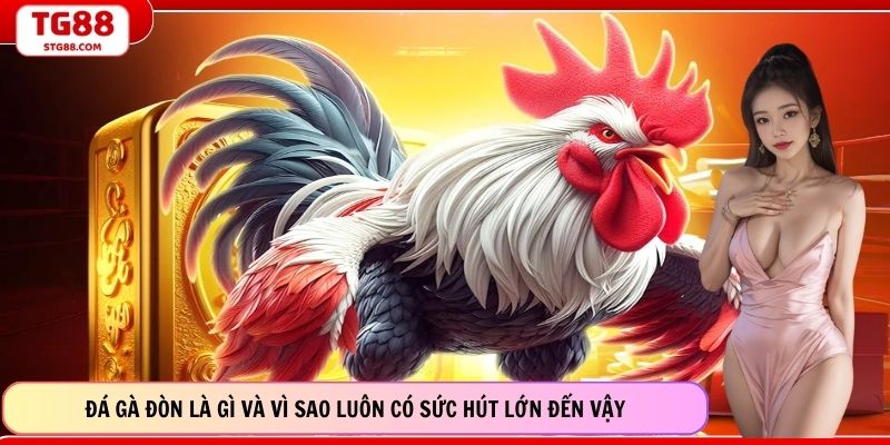 Đá Gà Đòn Là Gì Và Vì Sao Luôn Có Sức Hút Lớn Đến Vậy?