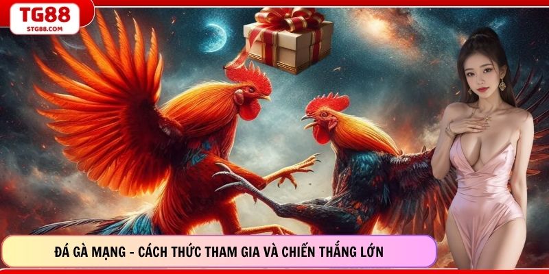 Đá Gà Mạng – Cách Thức Tham Gia Và Chiến Thắng Lớn