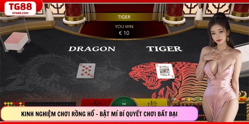 Kinh Nghiệm Chơi Rồng Hổ – Bật Mí Bí Quyết Chơi Bất Bại